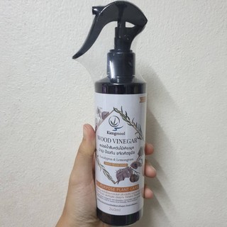 สเปรย์น้ำส้มควันไม้ เคียงมูล 240 มล. KIENGMOOL WOOD VINEGAR 240ML