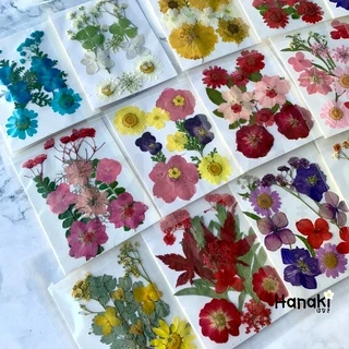 [พร้อมส่ง]Setดอกไม้จริงทับแห้ง Pressed Flowers💐