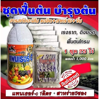 🥒🌶🥭ชุดฟื้นต้น 🪴บำรุงต้น ( สาหร่าย+อะมิโน+จิ๊บ ) หลังการเก็บเกี่ยว ติดดอก น้ำหนักดี เพิ่มผลผลิต ธาตุอาหารรอง ฮอร์โมนพืช