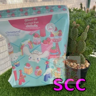 สำลีแผ่น ลิขสิทธิ์แท้Sanrio Cotton100%