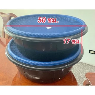 ชุด กะละมัง + กระจาด คละสี (6 ชุด) กระด้ง เลี้ยงด้วง เลี้ยงหนอน (JJ DUO SHOP)
