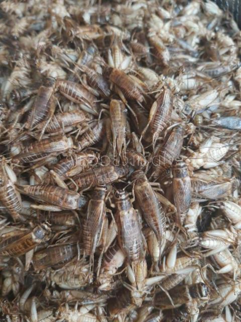 รูปภาพ 4