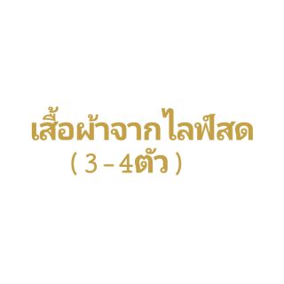 เสื้อผ้าจากไลฟ์สด(3-4ตัว)