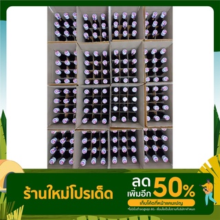 (ยกลัง 12 ขวด)มัลเบอร์รี่สกัดเข้มข้น100%