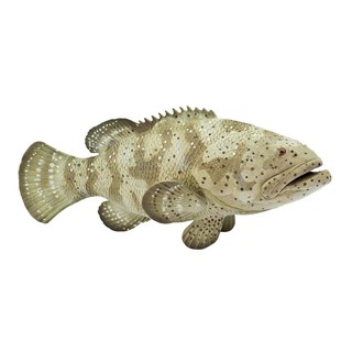 Safari Ltd. : SFR265329 โมเดลปลา Goliath Grouper