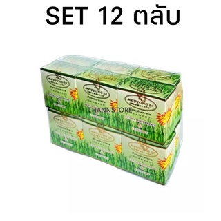 (12ชิ้น)ครีมสมุนไพรสาหร่ายตลับเขียวSeaweed Extra Whitening&amp;Face lift