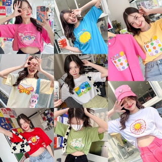 Live97# เสื้อคัตตอล มีหลายสี “ลายเบสิก” สไตล์เกาหลี Dream Big Tshirt โอเวอร์ไซน์ สาวอวบใส่ได้ พร้อมส่ง คอกลม ผ้านุ่ม