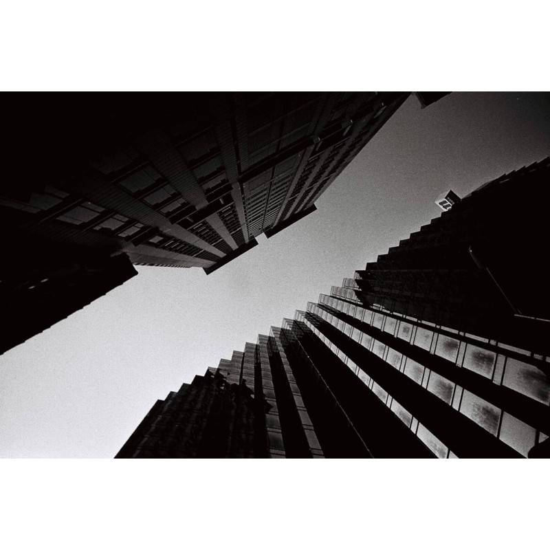 [พร้อมส่ง!] 🤍🖤 ฟิล์มขาวดำ ILFORD PAN 400 - รูปที่ 5