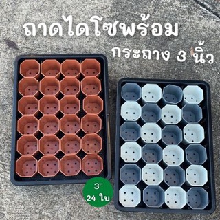 ถาดไดโซะ ถาดทึบ ถาดรู+กระถางต้นไม้ 3 นิ้ว 24 ใบ