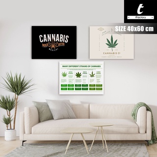 กรอบรูปติดผนัง กรอบแต่งบ้าน กัญ-ชา cannabis 26.5x40 cm. และ ขนาด 40x60 cm. กรอบไม้แข็งแรงทนทาน by inkspa