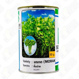 🌱 ซีดไลน์ 🇹🇭 คื่นฉ่ายคัดพิเศษ มรกต ขนาดบรรจุ 50 กรัม อายุเก็บเกี่ยว 40-45 วัน