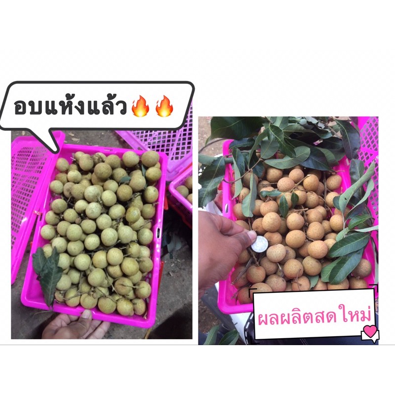My Image 26