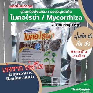 ปุ๋ยกัน ชา ปุ๋ยกัน ชง ไมคอร์ไรซ่า 💥มั่นใจ100% สินค้าล็อตใหม่…