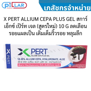 X PERT ALLIUM CEPA PLUS GEL สการ์ เอ็กซ์ เปิร์ท เจล (สูตรใหม่) 10 G ลดเลือนรอยแผลเป็น เติมเต็มริ้วรอย หลุมลึก