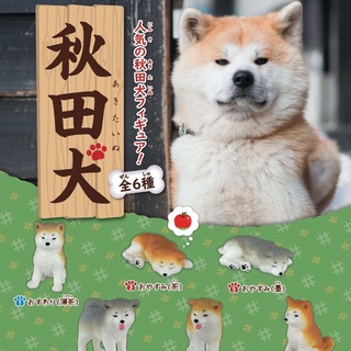 ✿ พร้อมส่งยกชุด ✿ กาชาปองน้องหมา Akitainu