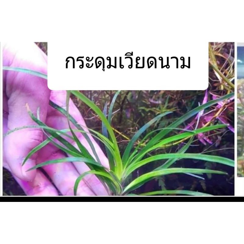 My Image 80