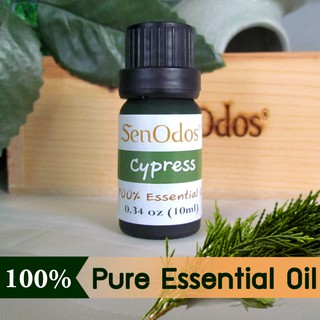 SenOdos น้ำมันหอมระเหยแท้ กลิ่นไซเปรสซ์ Cypress Essential Oil