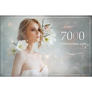 Avanquest 7000+ Professional LUTs [WiN x64]