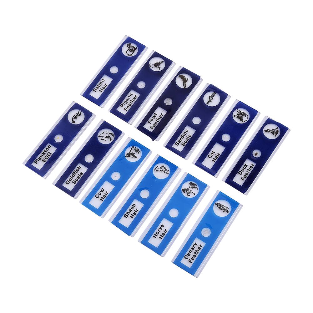 [Ready Stock] 48pc Animals Insects Plants Flowers Plastic Prepared ...