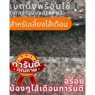 เบดดิ้งสำหรับเลี้ยงไส้เดือน อาหารไส้เดือน เบดดิ้ง (ขี้วัวนมแท้100%) พร้อมใช้ บรรจุถุงละ 4 Kg. พร้อมใช้ทันที