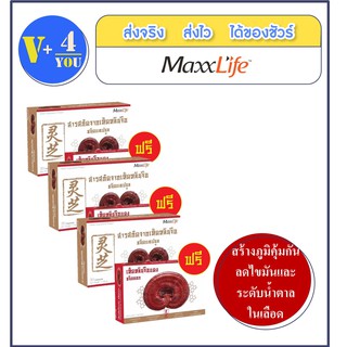 MaxxLife Linzhi Ganoderma Lacidum แม็กซ์ไลฟ์ เห็ดหลินจือ สกัด 30 แคปซูล 3 กล่อง(P6)