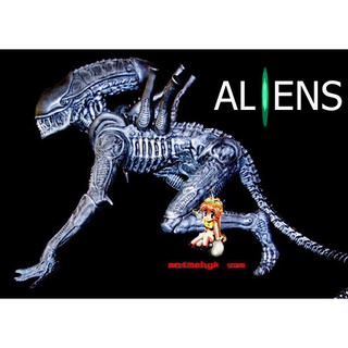 เอเลี่ยน คลาน Alien Xenomorph 1/6 Crawling ไวนิล ฟิกเกอร์ โมเดล Vinyl Figure Model