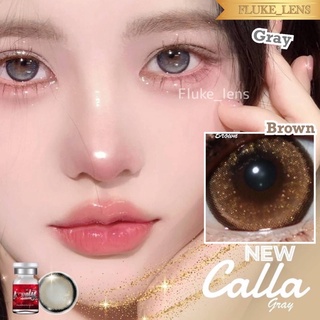 รุ่นพิเศษคอนแทคเลนส์(โต) ✨ Calla gray brown ✨ มีกลิตเตอร์ ตาประกายกว่าที่เคย Lovelyplus นำเข้าจากเกาหลี 🇰🇷