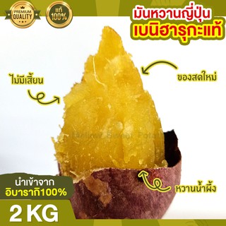 ส่งฟรี มันหวานญี่ปุ่น เบนิฮารุกะ 2kg นำเข้าจากญี่ปุ่น 100% ปลูกที่ญี่ปุ่น หวาน ฉ่ำ สดใหม่ทุกสัปดาห์