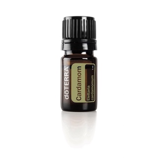 Cardamom 5 ml. Elettaria cardamomum