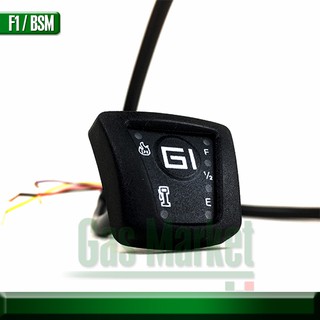 GI F1 / BSM SGI Switch