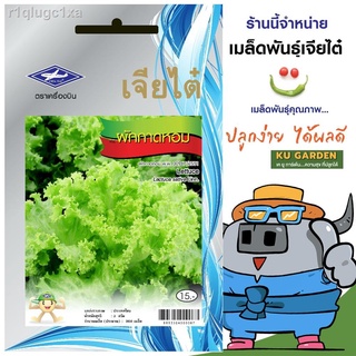 CHIATAI 🇹🇭 ผักซอง เจียไต๋ ผักกาดหอม (ผักสลัด) O018 ประมาณ 960 เมล็ด ผักกาด เมล็ดพันธุ์ผัก เมล็ดผัก เมล็ดพืช ผักสวนครัว