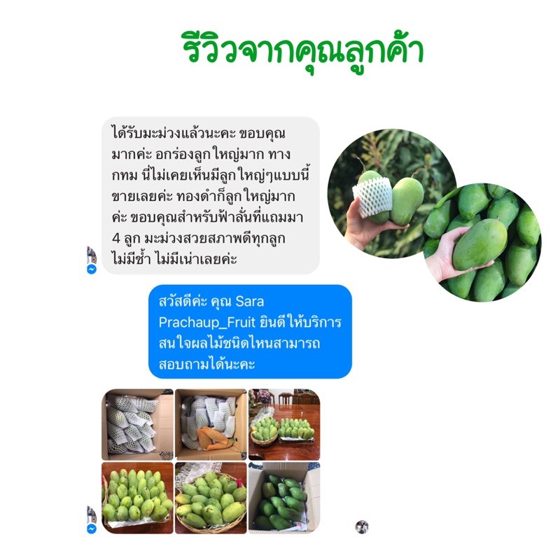 มะม่วงอกร่อง 1 กิโลกรัม ✅พร้อมส่ง✅ มะม่วงโบราณ แท้ 💯% สุก หอม หวาน น่ารับประทาน✔️ รูปที่ 6