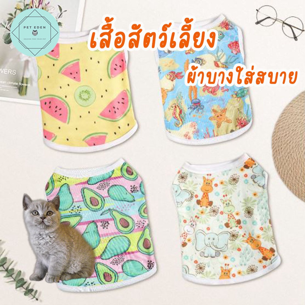 เสื้อสัตว์เลี้ยง เสื้อหมา Emily Pet Shirt แมว สุนัข ชุดหมา ชุดแมว