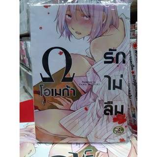 การ์ตูนวาย หนังสือการ์ตูนวาย เรื่อง โอเมก้ารักไม่ลืม เล่มเดียวจบ