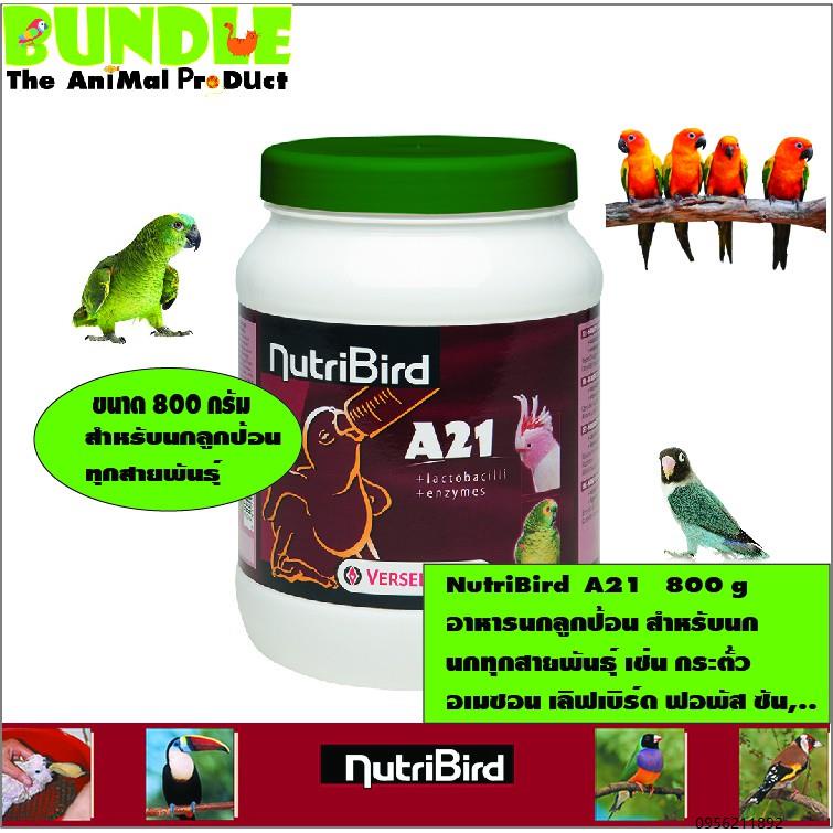 🔥🔥【สปอตประเทศไทย】สินค้าเฉพาะจุด❀❀❀ NutriBird  A21   800 g อาหารนกลูกป้อน สำหรับนก นกทุกสายพันธุ์ เช่น กระตั้ว อเมซอน
