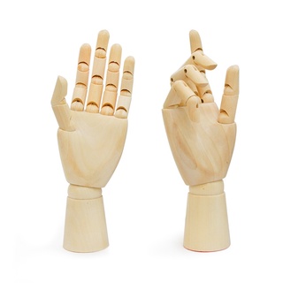 KTS)หุ่นมือ Model Hand Project ขนาด 10" เลือกข้างได้