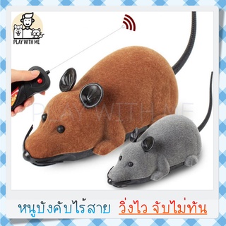 ✅ พร้อมส่ง ✅ หนูบังคับ ไร้สาย มีรีโมทคอนโทรล ตุ๊กตาหนูบังคับ ใส่ถ่าน หนูของเล่น หนูปลอม ของเล่นแมว ของเล่นสัตว์เลี้ยง