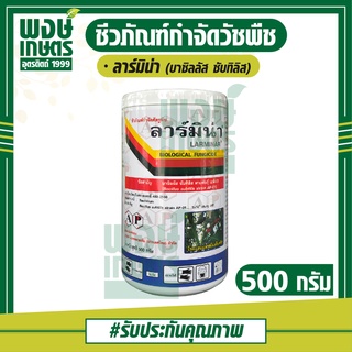 ลาร์มิน่า Larminar บาซิลลัส ซับทิลิส 500 g(Bacillus subtilis AP-01) สารชีวภาพ ป้องกันรักษาโรคพืช โรคดอกเน่า โรคกาบใบแห้ง