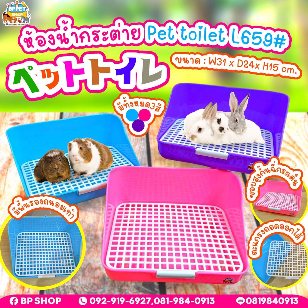 ห้องน้ำสัตว์เลี้ยง กระต่าย ชินชิล่า แก๊สบี้ (L659# สีเหลี่ยม) สี่เหลียม ขอบสูงกั้นฉี่กระเด็น