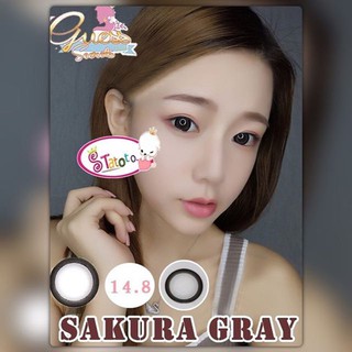 Sakura gray by TATOTO Contact Lenses บิ๊กอาย #290