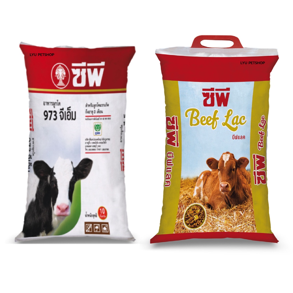ซีพี CP อาหารวัวแรกเกิด อาหารลูกโค อาหารลูกวัว 973GM ขนาดบรรจุ 10 กก.