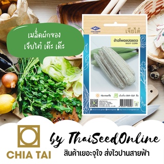 CTOP เมล็ดพันธุ์ ข้าวโพดข้าวเหนียวแปดแถว 85 เมล็ด ตราเจียไต๋ Large Waxy Corn