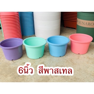 กระถาง6นิ้ว สีพาสเทล 10ใบ