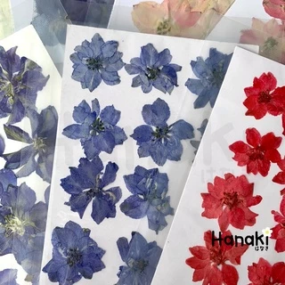 【พร้อมส่ง】ดอกเดลฟินเนียมทับแห้ง (Delphinium) ดอกไม้จริงทับแห้ง ดอกไม้ทับแห้ง Pressed Flowers💐