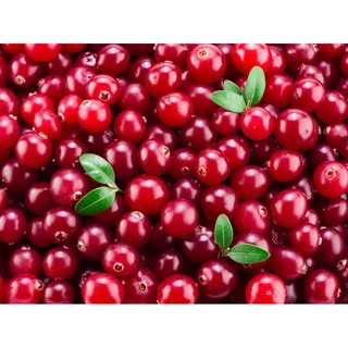 แครนเบอรี่อบแห้ง Dried Cranberries เกรด A หวานอมเปรี้ยว มีใยอาหารสูงช่วยระบบขับถ่าย
