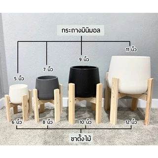 ขาตั้งกระถางต้นไม้ ขนาด 4นิ้ว - 14นิ้ว ไม้สนนอก วางกับกระถางเบลล่าได้และกระถางทุกชนิด 🪵