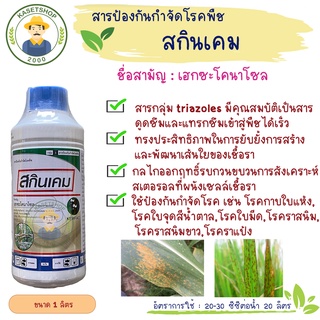 สกินเคม (เฮกซะโคลนาโซล 5% SC) ขนาด 1ลิตร#ราแป้ง#แอนแทรกโนส