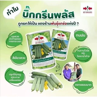 แตงร้าน บิ๊กกรีนพลัส 100 กรัม