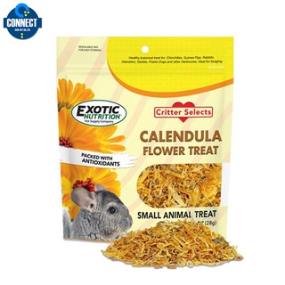 Exotic Nutrition - CALENDULA FLOWER TREAT 28 G. / ดอกดาวเรืองอบแห้ง อาหารสำหรับ สัตว์กินพืช 1oz.