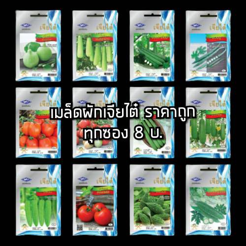 [เจียไต๋][มะระ น้ำเต้า มะเขือเทศ] เมล็ดพันธุ์ ผักผล เจียไต๋ (ซอง) ตราเครื่องบิน